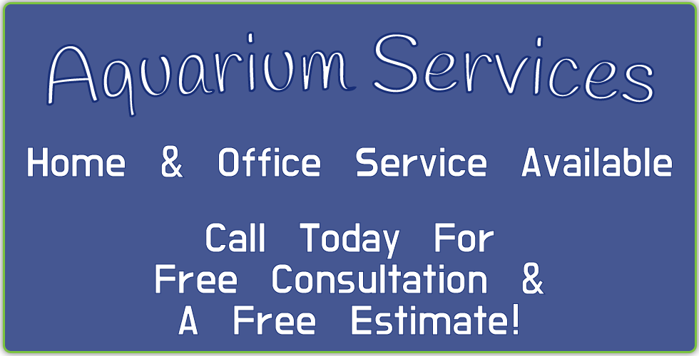 Aquarium Services Home and Office Service Available Call Today For Free Consultation and a free quote