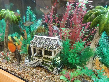 ADS Aquarium Services