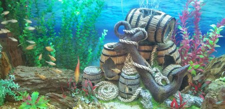 ADS Aquarium Services